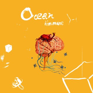 iimune - Ocean