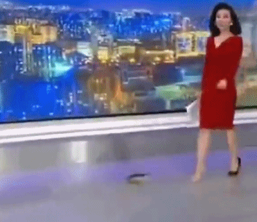 CCTV Reporter Loses Shoe in Awkward Live Broadcast