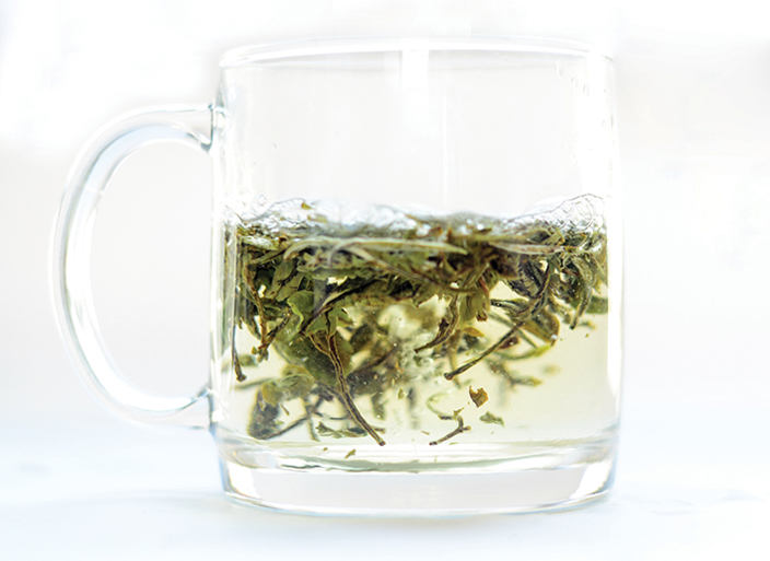 White Tea — A Guide to the 5 Most Popular Teas in China