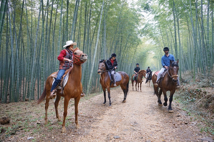 Oct 1-3: Three-Day Countryside Adventure featuring horseback riding, cycling and hiking in a bamboo forest