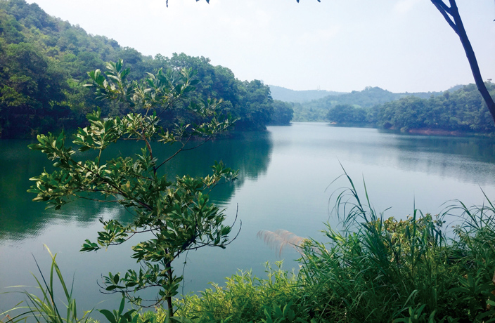 Daytripper: Huizhou's Lakes