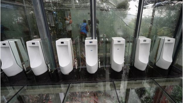 glass-urinals.jpg