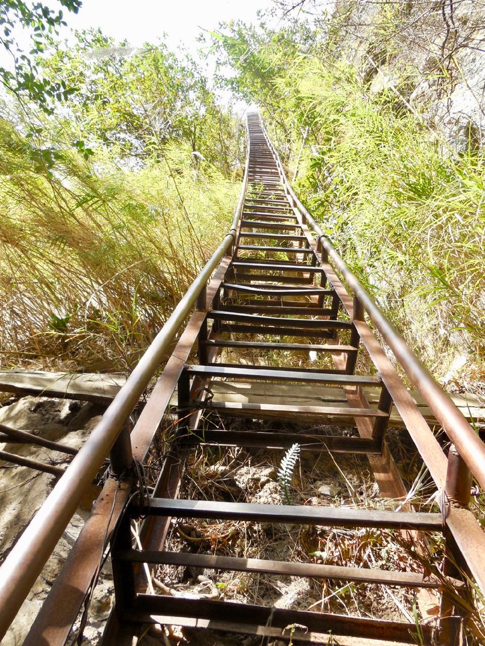 tiger-leaping-gorge-ladder
