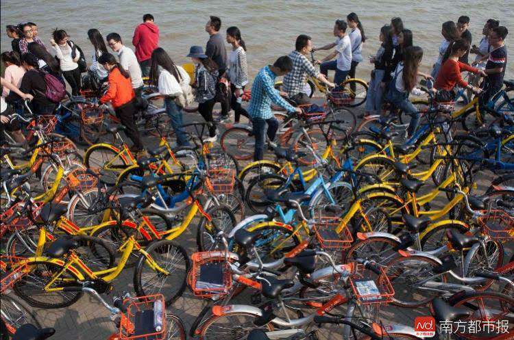bike-path-shenzhen-bay-mobikes.jpg