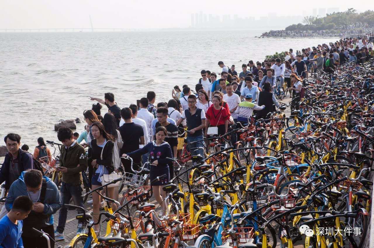bike-path-shenzhen-bay-shared-bikes.jpg