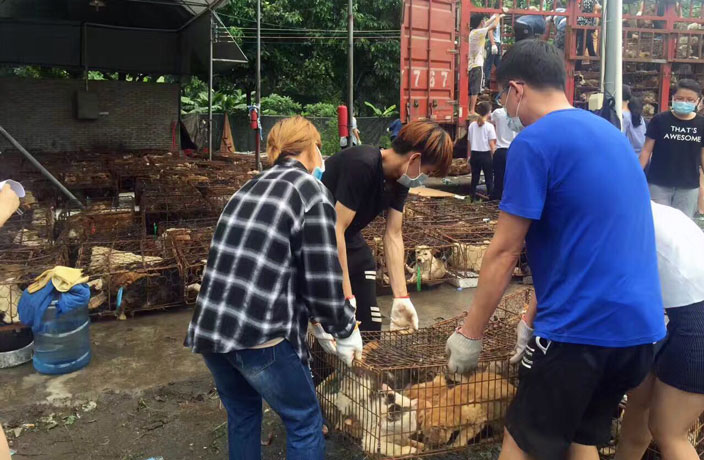 Dog-Meat-Still-on-the-Menu-at-Tomorrow-s-Controversial-Yulin-Festival-6.jpg