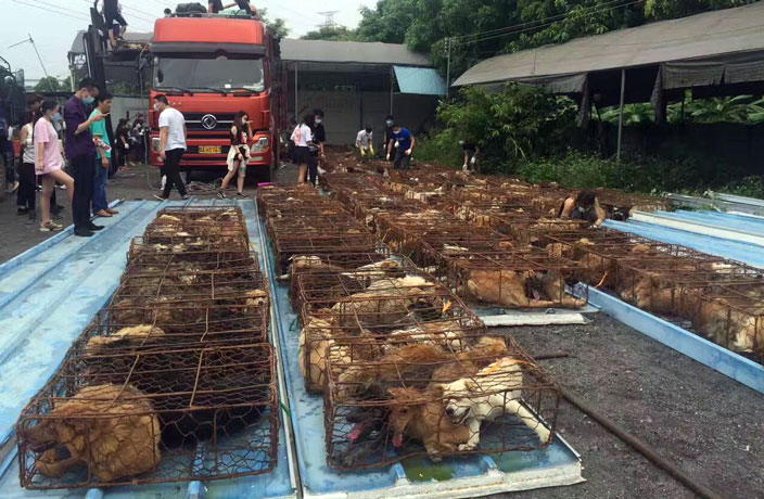 Dog-Meat-Still-on-the-Menu-at-Tomorrow-s-Controversial-Yulin-Festival-7.jpg