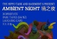 Ambient Night at Basement 6