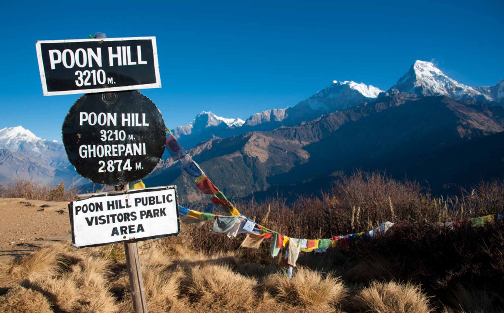 ghorepani-poon-hill-nepal