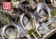 Tuesday Oyster Promotion