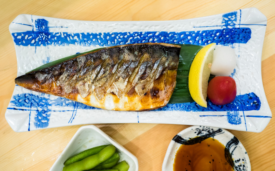 zenho-mackerel.jpg