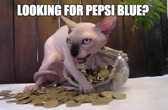 pepsi-blue-cat.jpg