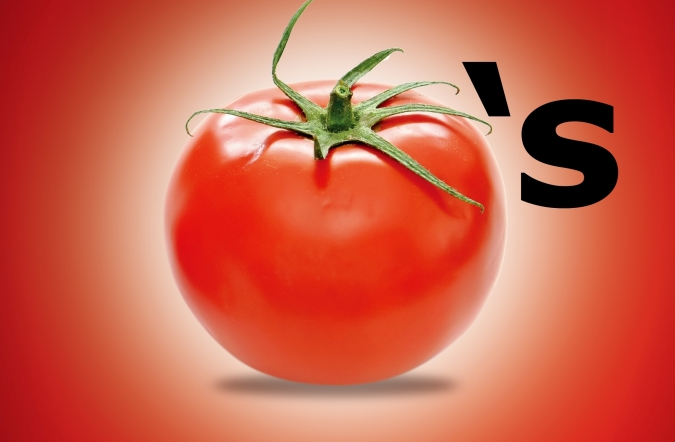 tomatoes-2.png
