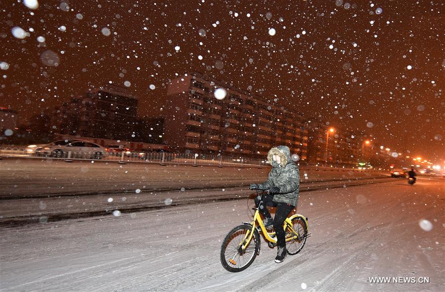 PHOTOS: First Snowfall of the Season Hits Tianjin
