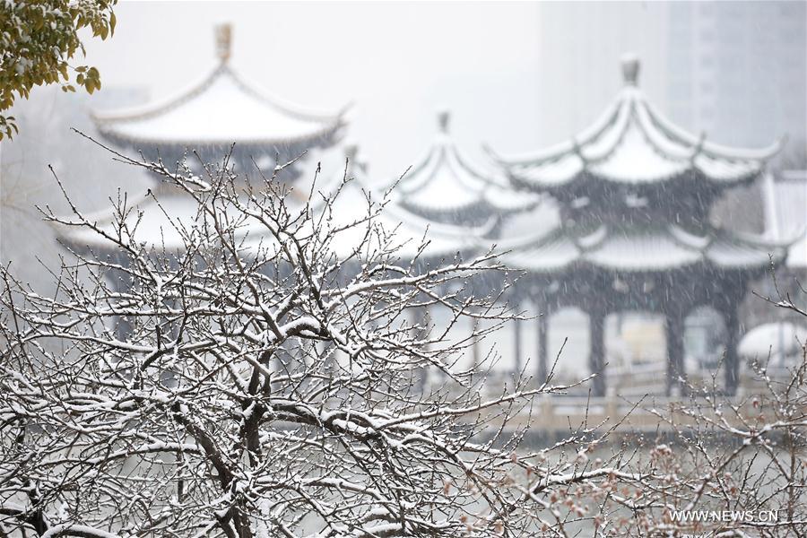 PHOTOS: Heavy Snowstorms Hit Eastern China