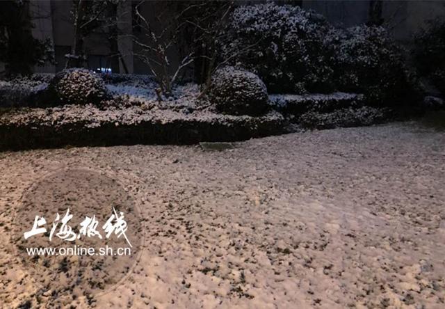 PHOTOS: Shanghai Hit with Rare Snow
