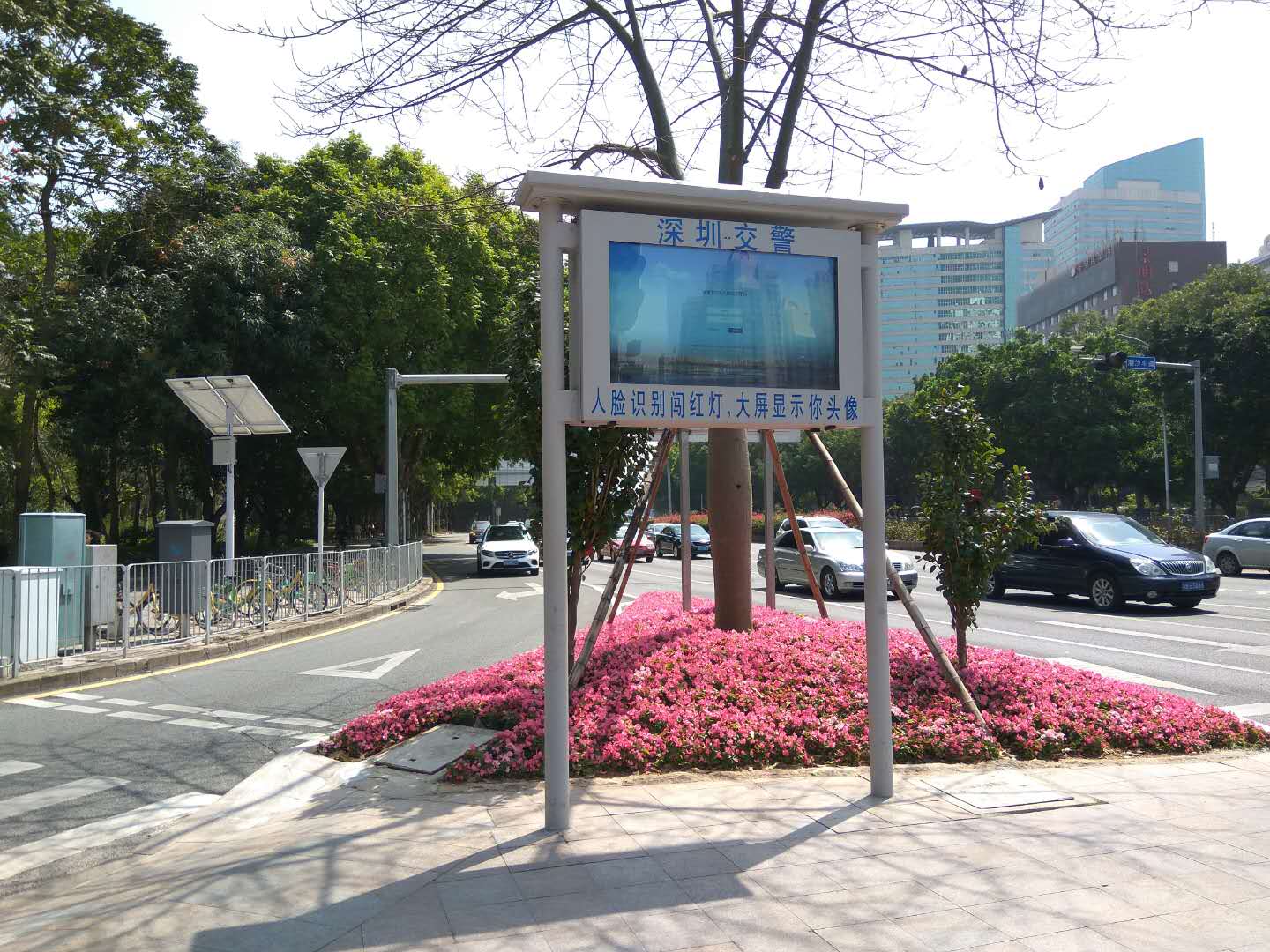 shenzhen-jaywalking-digital-display-sign.jpg