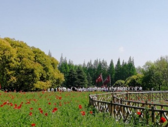Binjiang Forest Park