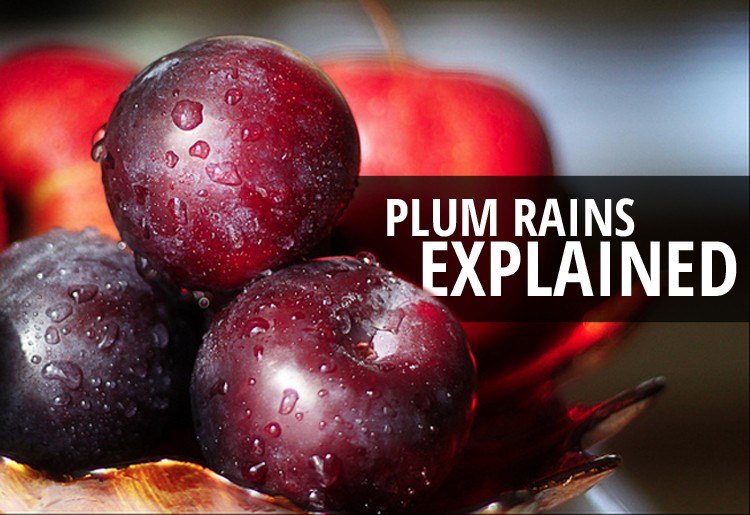 Explainer: The Plum Rain Season of East Asia
