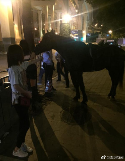 WATCH: Woman Rides Horse on the Streets of Shanghai