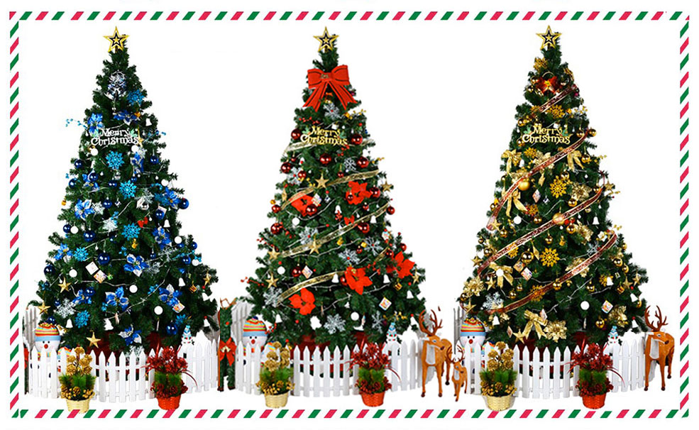 Where to Find Christmas Trees in China