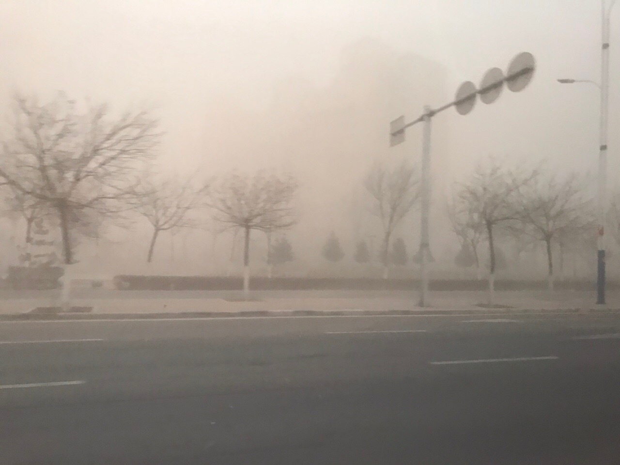 sandstorm-11.jpg