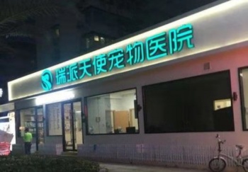 Angel Pet Clinic Limited Company (Zhongyuan)