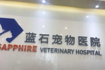 Sapphire Vetrinary Hospital