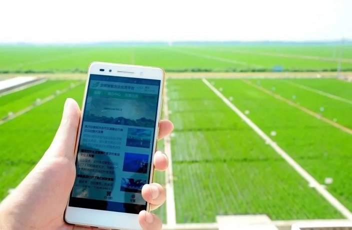UPDATE: Huawei Denies 'Sea Rice' Venture