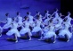 Imperial Russian Ballet: Swan Lake