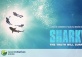 Sharkwater: Green Drinks June Film Screening