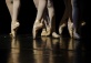 Central Ballet Summer Festival Closing Performance