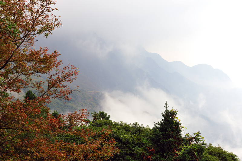Shimen-National-Forest-Park.jpg