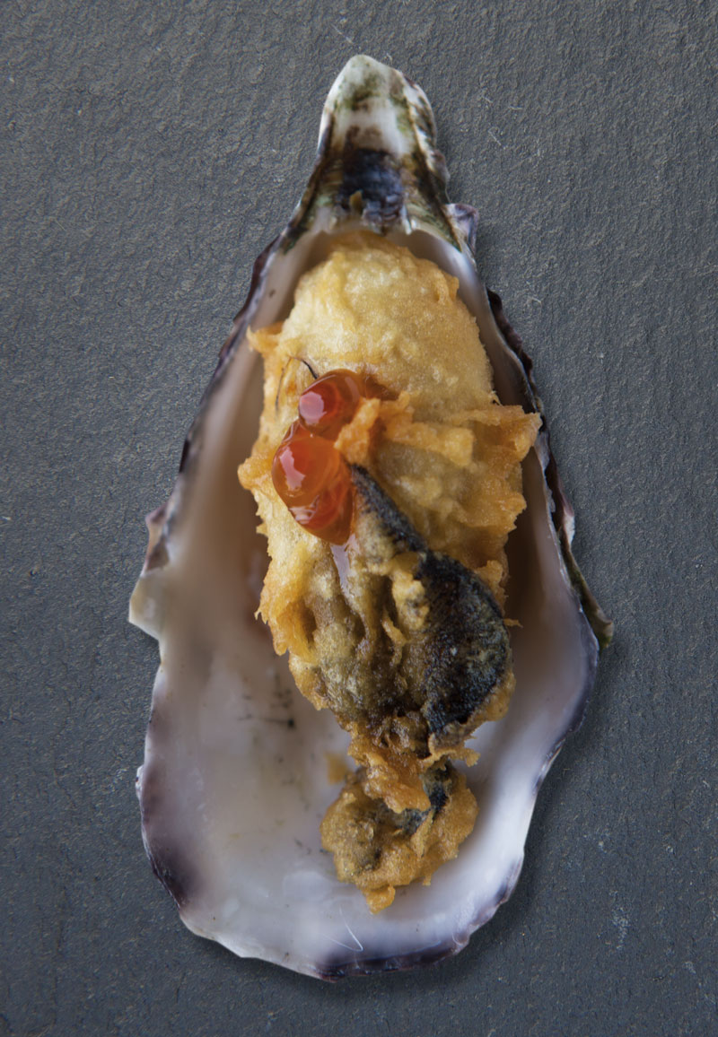 oyster-t-1.jpg