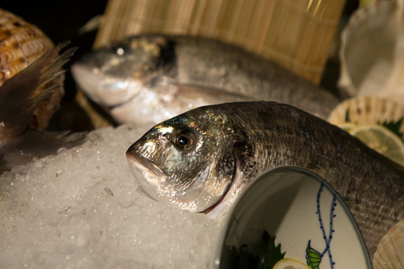 sense-conrad-sushi-fish.jpg