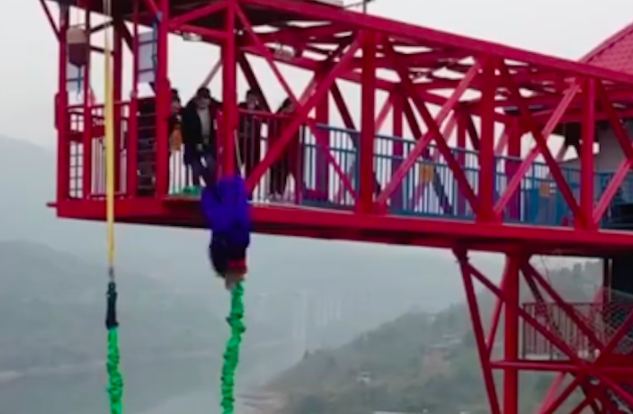 This Bungee Jumping Swine Sums Up A Difficult Year for Pigs