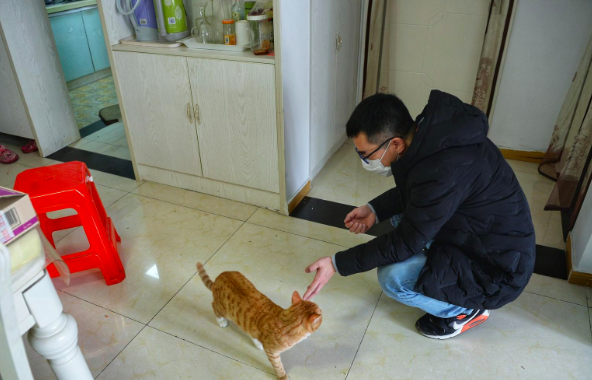 friendly-cat-rescue-food-Wuhan