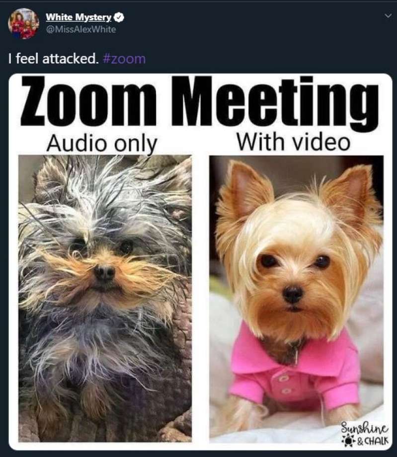 Zoom Meme