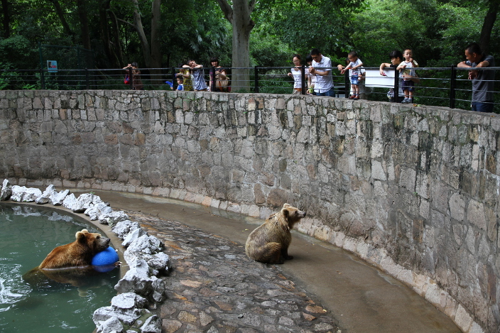 Visitors Witness Bears Kill Breeder at Shanghai Wild Animal Park