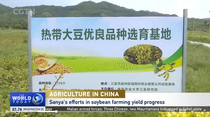 yazhou-bay-soybean-research.jpg