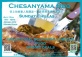 Chesanyama BBQ Party