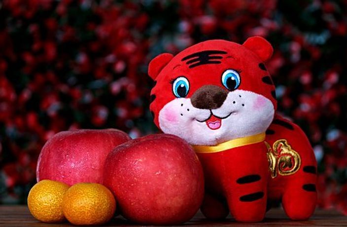 Spring Festival in Beijing? Check Out These CNY Opening Hours