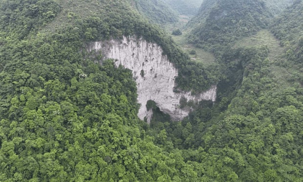 Does Ancient Guangxi Forest Contain New Plant & Animal Species?