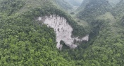 Does Ancient Guangxi Forest Contain New Plant & Animal Species?