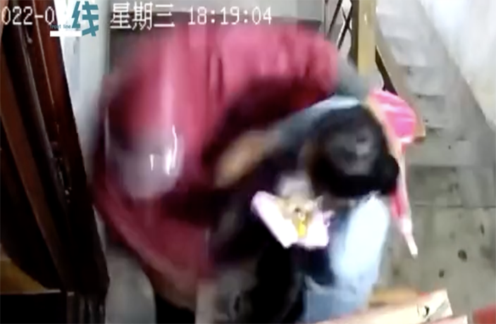 WATCH: Terrifying Video of 'Raincoat Man' Attacking Woman & Daughter
