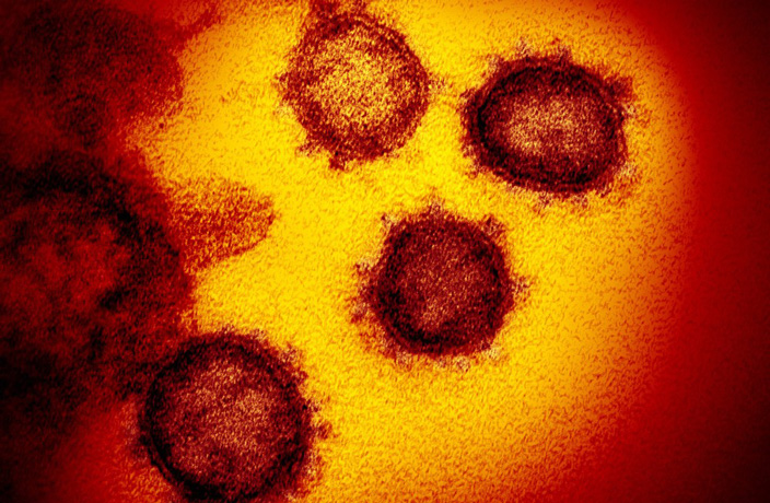 4 New COVID Cases, 4 Punished for Spreading Virus