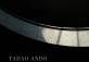 Tadao Ando: Ando Box