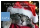 Calling All Party Animals! ICVS “Christmas Party For Pets & Their People