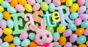 EGG-cellent Ways to Celebrate Easter in Shenzhen