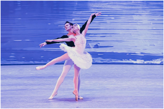 T+ Tickets: 50% Off on Swan Lake – Last Call!